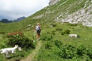 73 Bel sentierino variante in cresta del 218
